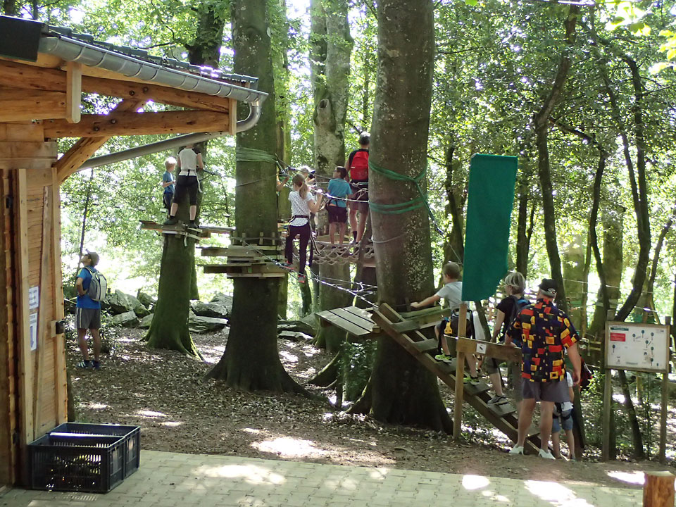 depart-parcours-acrobatique-foret-parc-loisirs-salles-curan-aveyron